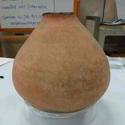 Large Clay Jar with 3 dried lizards inside