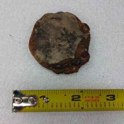 Ceramic Plug Potsherd