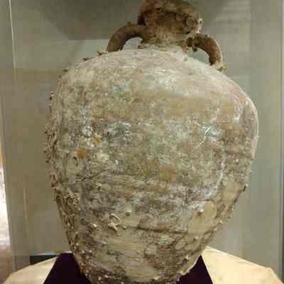 Amphora