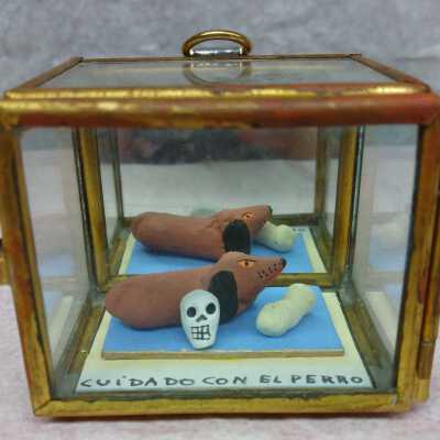 Miniature dog in a glass box