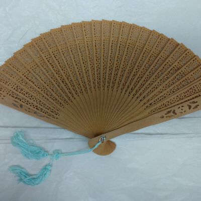 Wooden Fan in Case