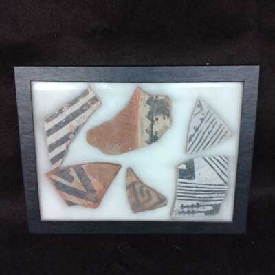 Specimen Box