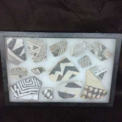 Specimen Box