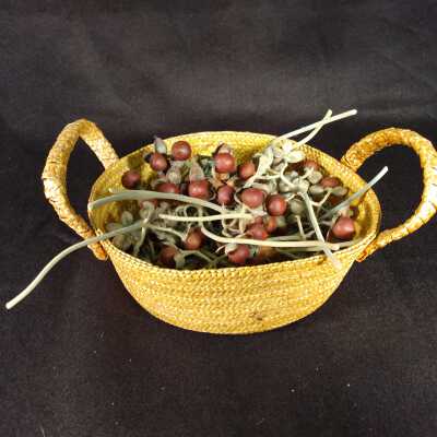 Woven Basket Filled with Seed Pods