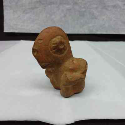Clay Parrot