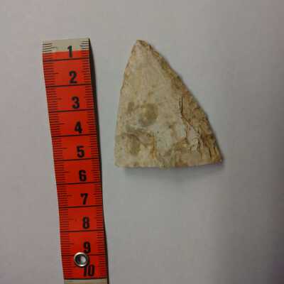 Projectile point