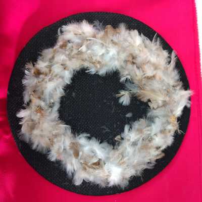 Feather Headdress