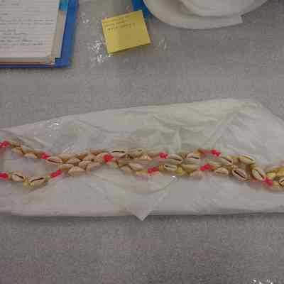 Shell Necklace