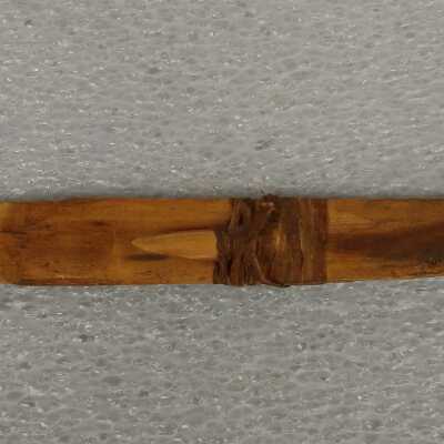 Barbed spear tip