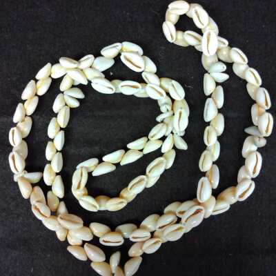 Cowry Necklace