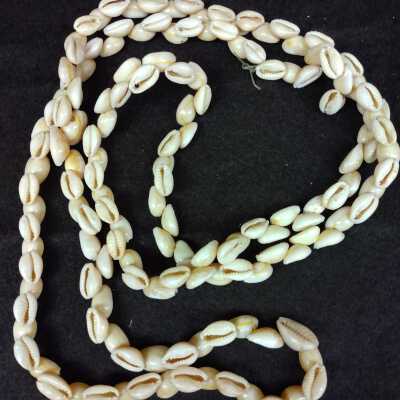 Shell Necklace