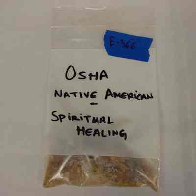 Osha, herbs for spiritual and medicinal healing