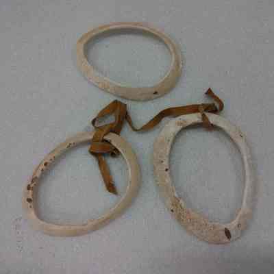 Limpet Shell Bracelets
