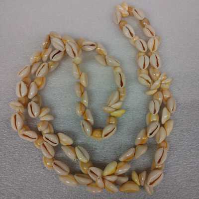 Cowrie shell necklace