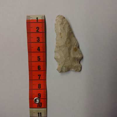 Projectile Point