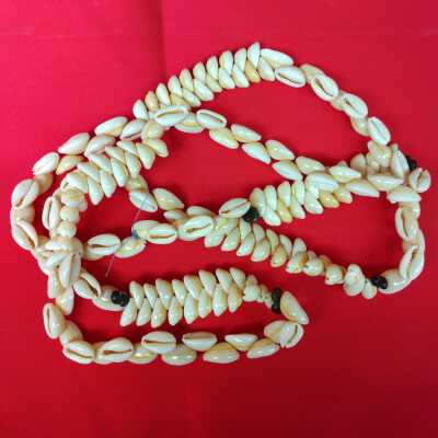 Cowry & Snail shell necklace