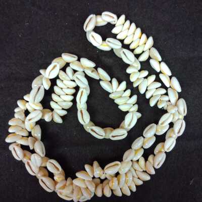 Cowrie shell necklace