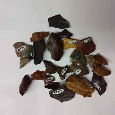 Stone Tool Flakes