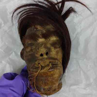 Shrunken head