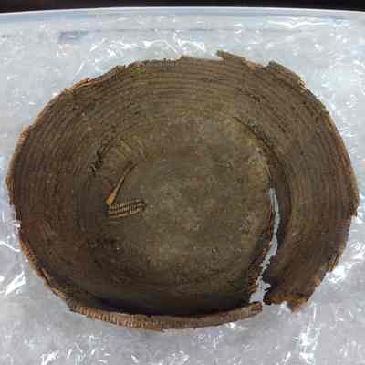 Coiled Basket