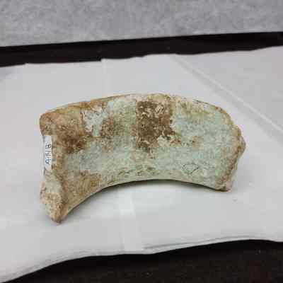 Pot Rim Fragment