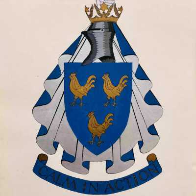 Art Study for Calm in Action Heraldry Sampler