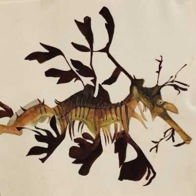 Art Studies for three birds and a seahorse