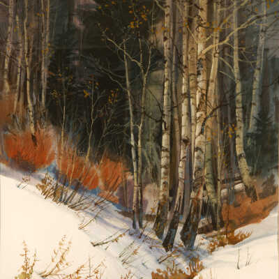 Aspen Warmth