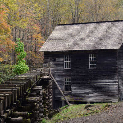 Mingus Mill