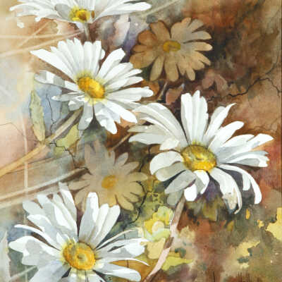 Daisy Rhapsody