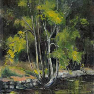 Nita's Pond