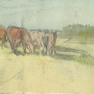 Ponies Grazing