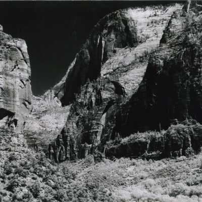 No 15 - Early Morning Zion