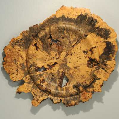 Buckeye Burl & Brass