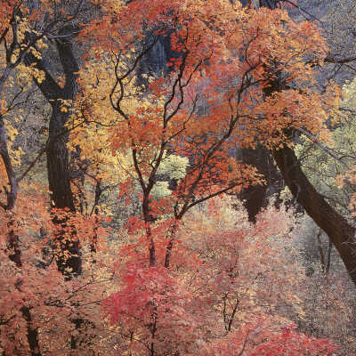 Autumn Pastels