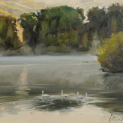 Swan Refuge