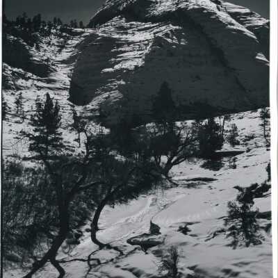 No 3 - Winter in Zion