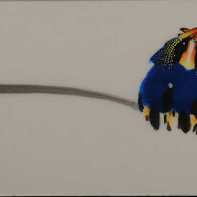 Unknown (two birds)