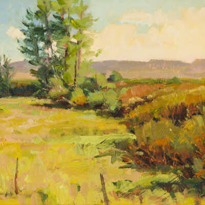 Willows and Cottonwoods