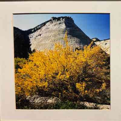 Zion National Park: Checkerboard Mesa; The Sentinel