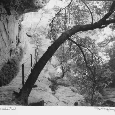 Canyon Overlook Trail