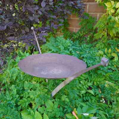 Bird Bath