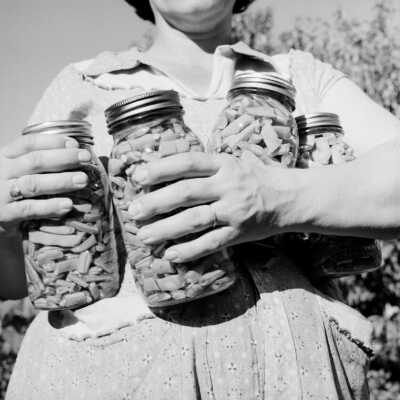A Winter's Provender