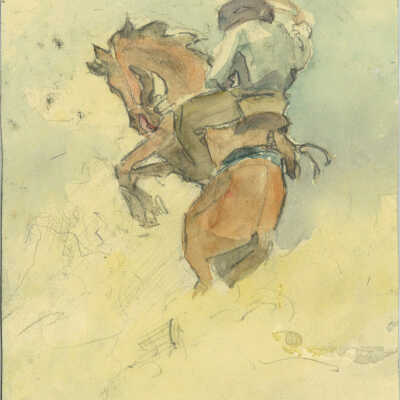 Idaho Cowboy