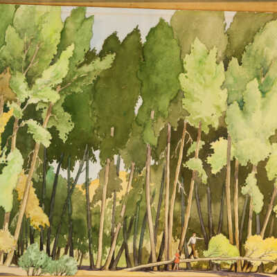 Woodland