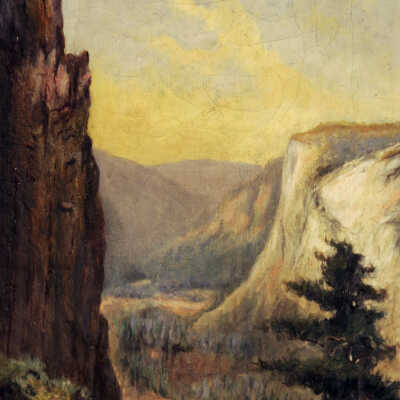 Half Dome & Oldest Redwood