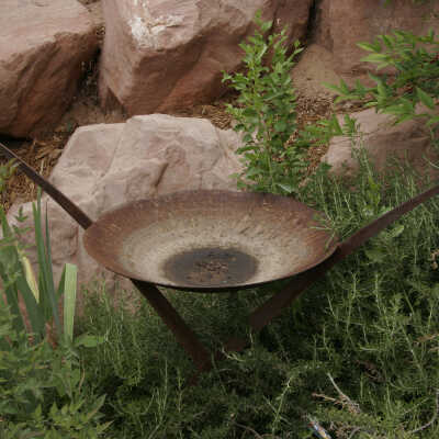 Bird Bath