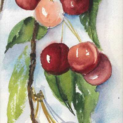 Untitled--Cherries
