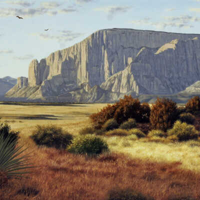Distant Cliffs
