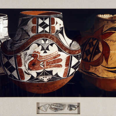 Ancient Ancestors